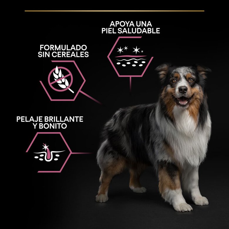 Pro Plan Medium Adult Sensitive OptiDerma Salmão ração para cães, , large image number null